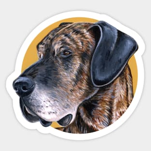 Brindle Great Dane Dog Sticker